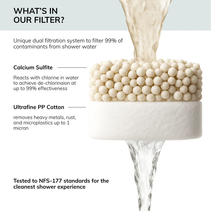 Filtered Showerhead