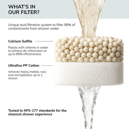Filtered Showerhead